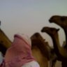 محمد الجبلي 的头像