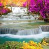 Nature Scenery 🦅's profile picture