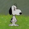 Profilbild von SHADY