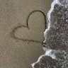 A. M's profile picture