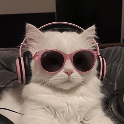 𝓢's profile picture