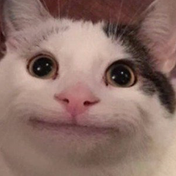 Beluga1000's profile picture