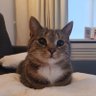 A profil fotoğrafı