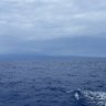 Ocean View 的头像