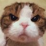 ちょ 的头像