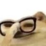 Profilbild von gafflack