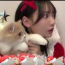 まうまう🐈🎀's profile picture