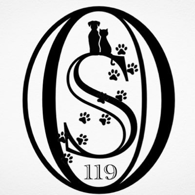 動物愛護団体ワンワンニャイン's profile picture