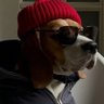 Profilbild von ZeroGrav