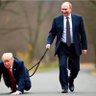 Profilbild von 俄国特别情报处处长—DonaldJ.Trump!
