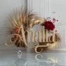 Profilbild von Amalia