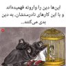 علی ولی الله's profile picture