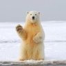 もこもこさん 的头像