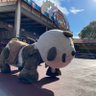 進む中村 的头像
