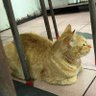 watson hsiao profil fotoğrafı