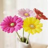Фото профиля Flowers