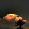 عزف المطر profil fotoğrafı
