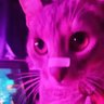 Profilbild von Ekko