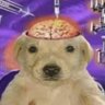 blurx0 的头像
