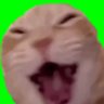 c18's profile picture