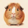 Beatrice Hargreaves's profile picture