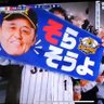 12球場 制覇した大学生🐯's profile picture