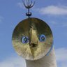 猫又ニトロ profil fotoğrafı