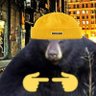 Фото профиля VelocityBear