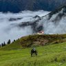 Profilbild von uttarakhand tourism