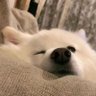 Profilbild von 南安