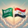 Profilbild von Youssf Waleed