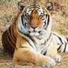 Zeus Jr. profil fotoğrafı