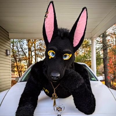 ✨Alexei✨'s profile picture
