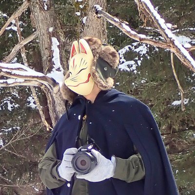 gecko / the eccentric explorer 𓆣's profile picture
