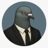 Viral Pigeon 的头像