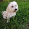 Profilbild von Mickaa