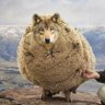 Profilbild von NewsManJack