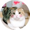Фото профиля NANAIRO