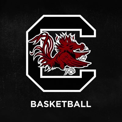 South Carolina Men's Basketball's profile picture