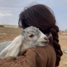 Фото профиля ام مشعل🦅الخاص_منمنوع