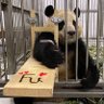 hope 的头像
