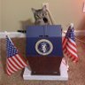 meow profil fotoğrafı