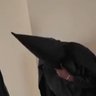 ilove2hateu's profile picture