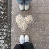 あかね profil fotoğrafı