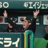 おふねこ 的头像