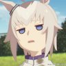 🌛みぃさん！3.103🌛's profile picture