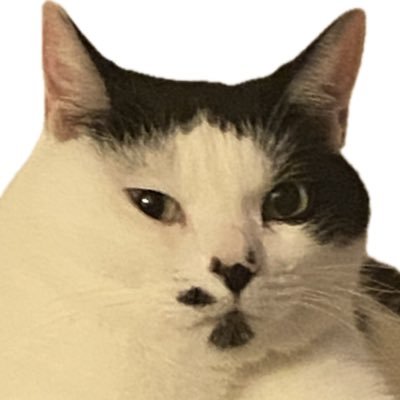 うめと申しますけども's profile picture