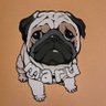 maru profil fotoğrafı