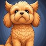 Nougat's profile picture