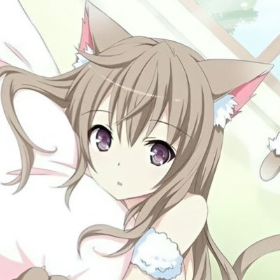 emy⊹'s profile picture